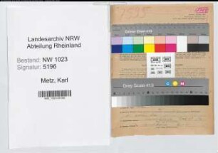 Entnazifizierung Karl Metz , geb. 14.08.1900 (Feuerwehrmann)