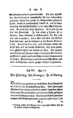 ¬Der¬ Häring : Taf. XV, Fig. 77