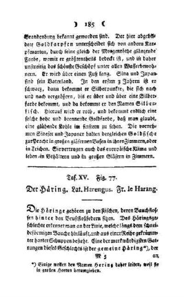 ¬Der¬ Häring : Taf. XV, Fig. 77