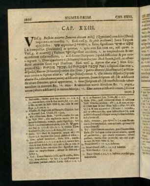 1206-1216, Cap. XXIII