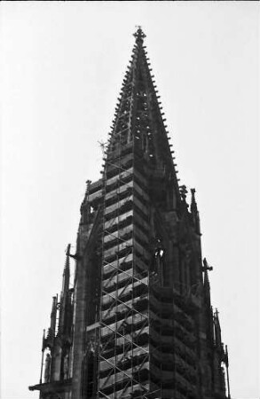 Freiburg: Turmtreppe im Gerüst
