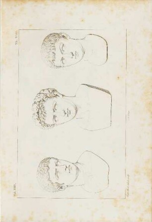 Kupferstich: Vol. XIII. TA. XLII. Ferd. Mori del. et sculp.
