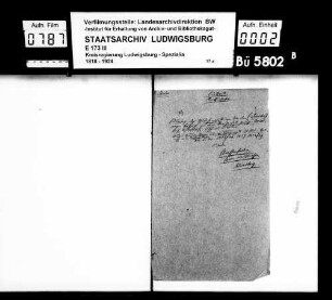 Edelleute (einzelne Familien): Freiherren v. Weiler