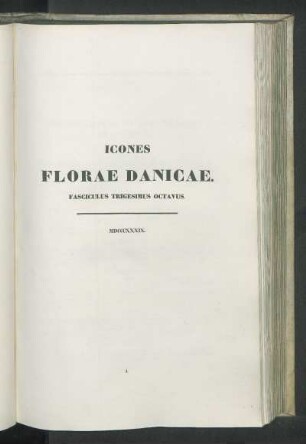 Nomenclatura Fasciculus XXXVIII