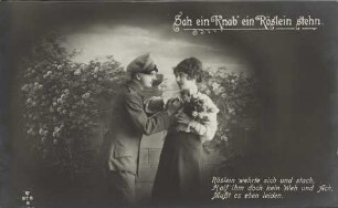 Sah ein Knab' ein Röslein stehn - Röslein wehrte sich [...]