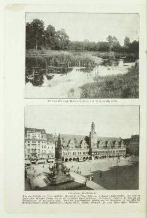 Auenwald und Wasserlachen bei Leipzig (Gundorf)