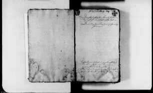 Verpachtung der domkapitularischen Zehnten zu Borne