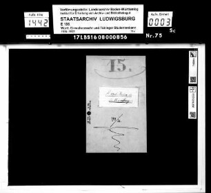 Sonderkommando (Lt. Heimberger)