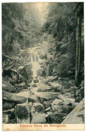 Wernigerode. Waldmotiv Steinerne Renne
