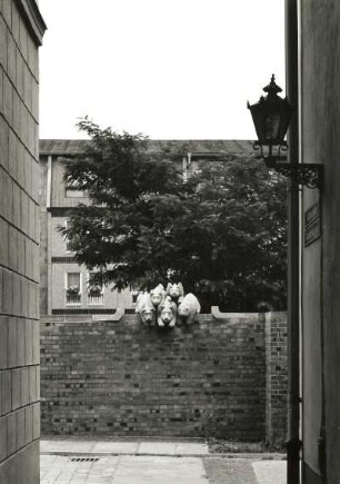 Cottbus. Rathausgasse. Blick zur Mauer mit Tiergruppe