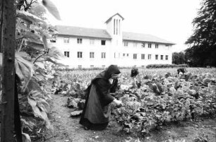 Kirchzarten: Kloster, Vordergrund Gemüsegarten mit Nonnen