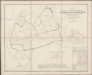 Plan über die Großherzoglichen Domainen-Waldungen Buchwald und Hundstangen auf den Gemarkungen Kleinsteinbach, Singen, Wilferdingen und Darmsbach im Forstbezirk Wilferdingen