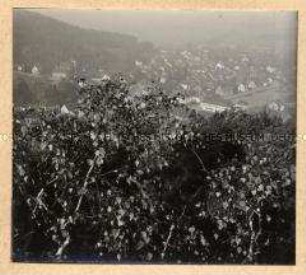 Blick auf Landstuhl von der Burg Nanstein