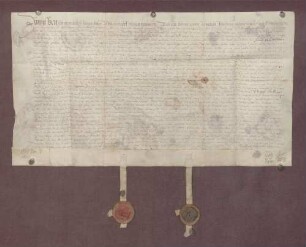Vertrag zwischen dem Bischof von Worms und der Gemeinde Ilvesheim wegen des Altwassers zu Ladenburg.