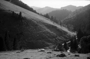 Stohren im Münstertal mit Straße und Fluss