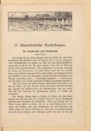 VI. Naturkundliche Darstellungen