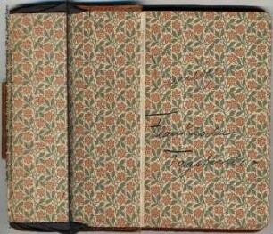 Flandrisches Tagebuch 01 (Auszug aus Manuskript)
