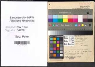 Entnazifizierung Peter Salz , geb. 22.08.1904 (Arbeiter)