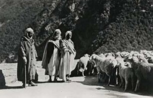 Marokko. Marokkanische Schafhirten bei ihrer Herde. Schafe und Ziegen sind die, neben Kamelen, am weitest verbreiteten Nutztiere des Landes