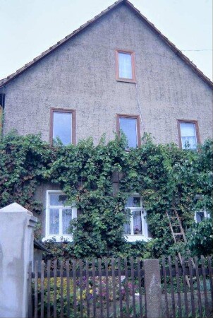 Detail voriges Bild: Hausgiebel mit Wein berankt, Vorgarten