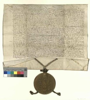 Wladislaw [II.], König von Böhmen und Ungarn, Markgraf der Niederlausitz, bestätigt die Landes-Privilegien des Markgraftums Niederlausitz.