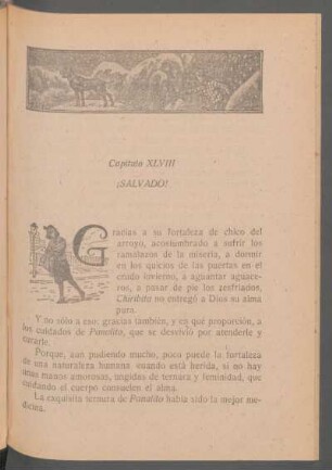 Capítulo XLVIII - ¡Salvado!
