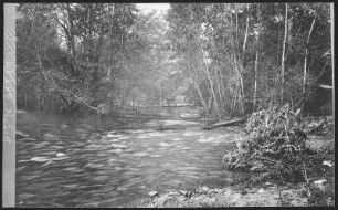 Walla Walla. Fishing on Mill Creek