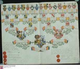 Ahnenprobe des Friedrich v. Ingelheim gen. v. Mespelbrunn. - ausgefertigt 1801 Juni 1, fehlt im Bestand