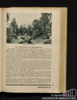 Das Späth-Arboretum in Baumschulenweg.