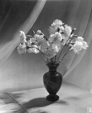 Blumen in Vasen. Nelkenstrauß in bauchiger Vase