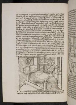 Der Pläneschmied zerschlägt das Honiggefäß; (Kapitel VII: Von dem Einsiedler).