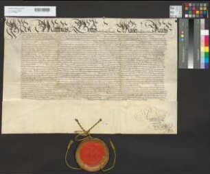 Kaiser Mathias bestätigt und erneuert dem Erzbischof Ferdinand das von Maximilian II. für das Erzstift erteilte privilegium de non appellando.
