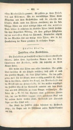 Fünfte Klasse. Insekten oder Kerbthiere.