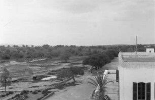 An der Olivenplantage : Msallata, Libyen. Blick von einem Gebäude der italienischen Siedlung auf eine Olivenplantage