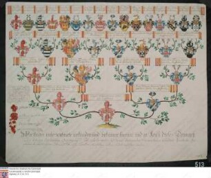 Ahnenprobe des Johann Friedrich Carl Zobel v. Giebelstadt. - ausgefertigt 1769 November 15, Pergament