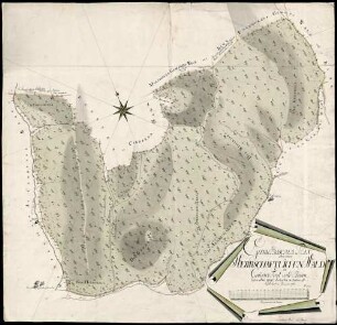 Geometrischer Plan über einen herrschaftlichen Wald im Canderer Forst und Bann