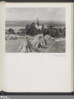Meuselbach zur Erntezeit