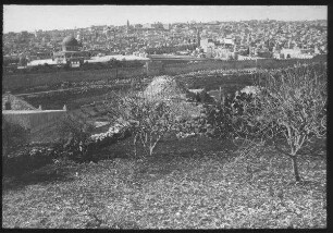 Jerusalem v. Dominus flevit