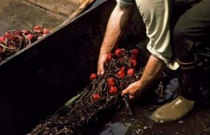 Fischernetz im Boot