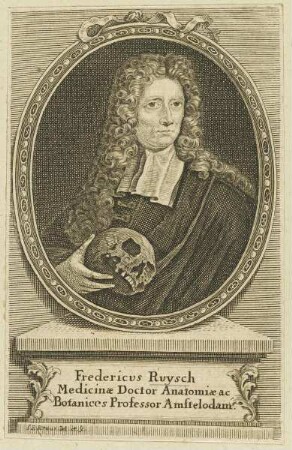 Bildnis des Fredericus Ruysch