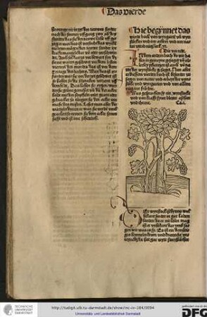 In dem andern buch do wir haben in gemeyne gesaget von allerley pflantzen ist auch von natur der wynstoecke gesaget...