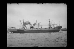 Zosma (1959), v. Nievelt (Hbg)
