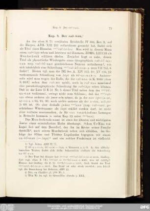 Kap. 9. Der rab-SAG.