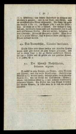 49. Das Trampelthier, Camelus bactrianus.