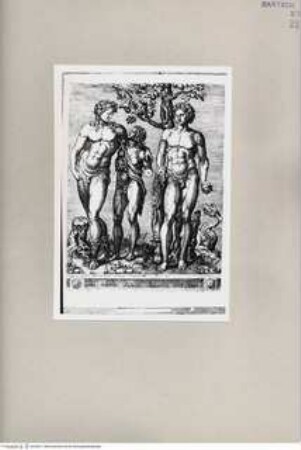 Bachus, Faun und Herkules