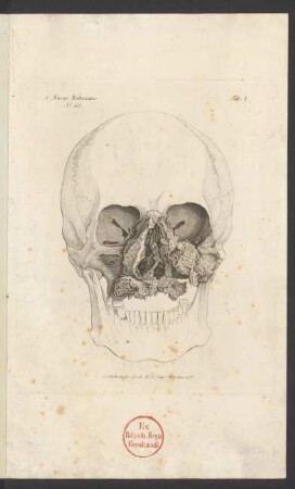E Musceo Walteriano. No. 405. Tab. I.
