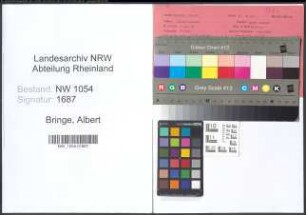 Entnazifizierung Albert Bringe , geb. 04.08.1901 (Ingenieur)