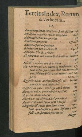 Tertius Index, Rerum & Verborum.