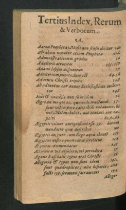 Tertius Index, Rerum & Verborum.