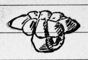 Ovaler gerippter Knopf mit Bandöse